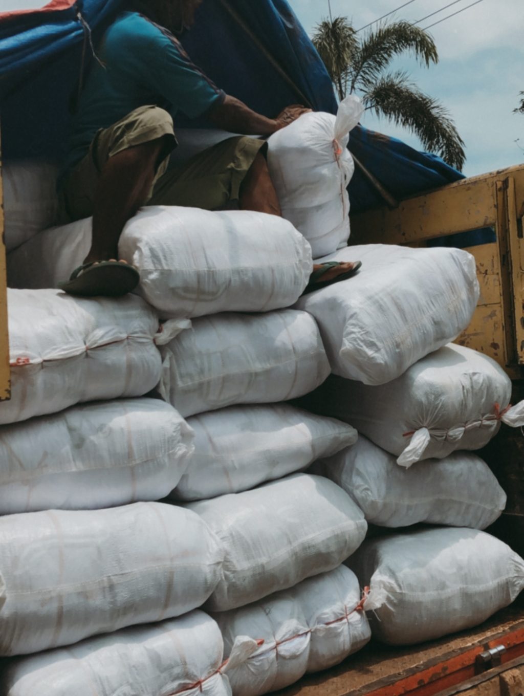 371D99F0-25B3-469A-ABCA-79BA8077F4EB